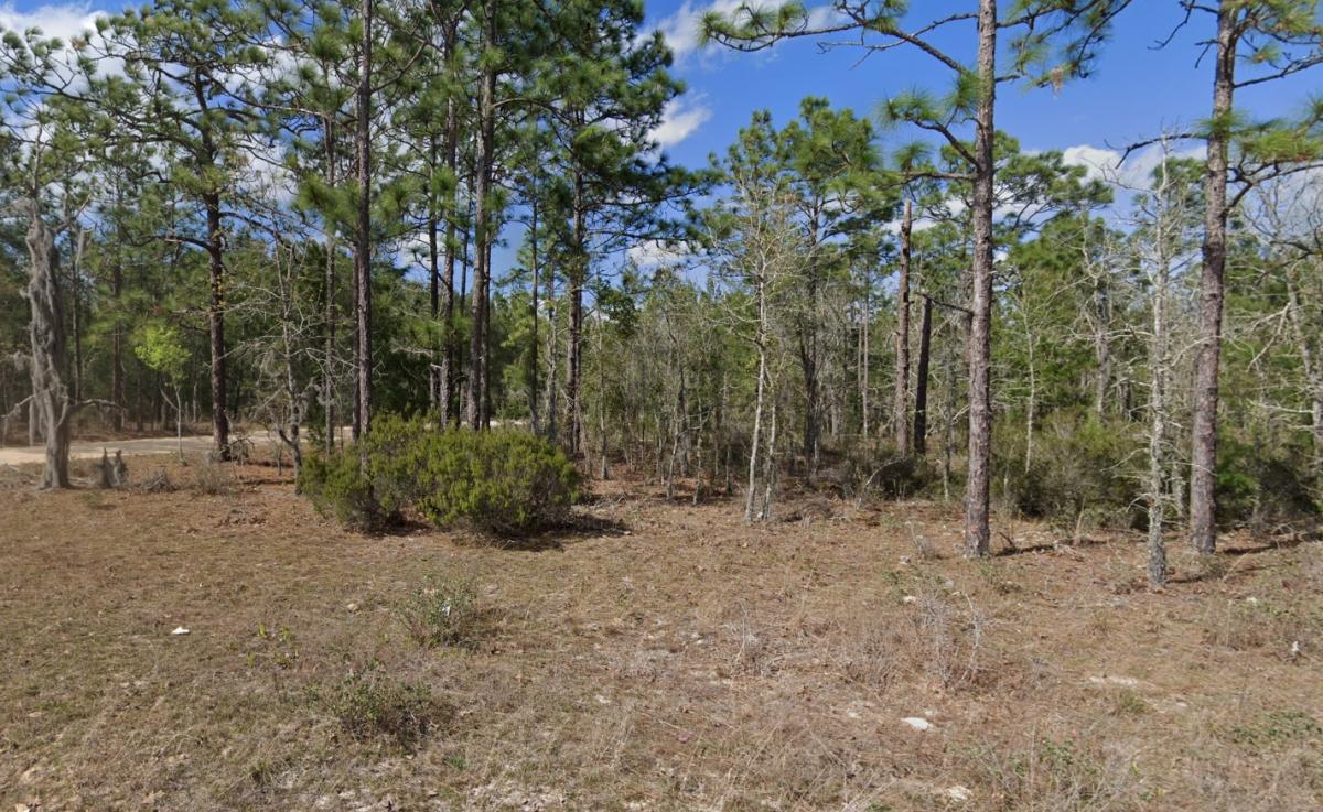 0.26 Acres for Sale in Interlachen, Florida