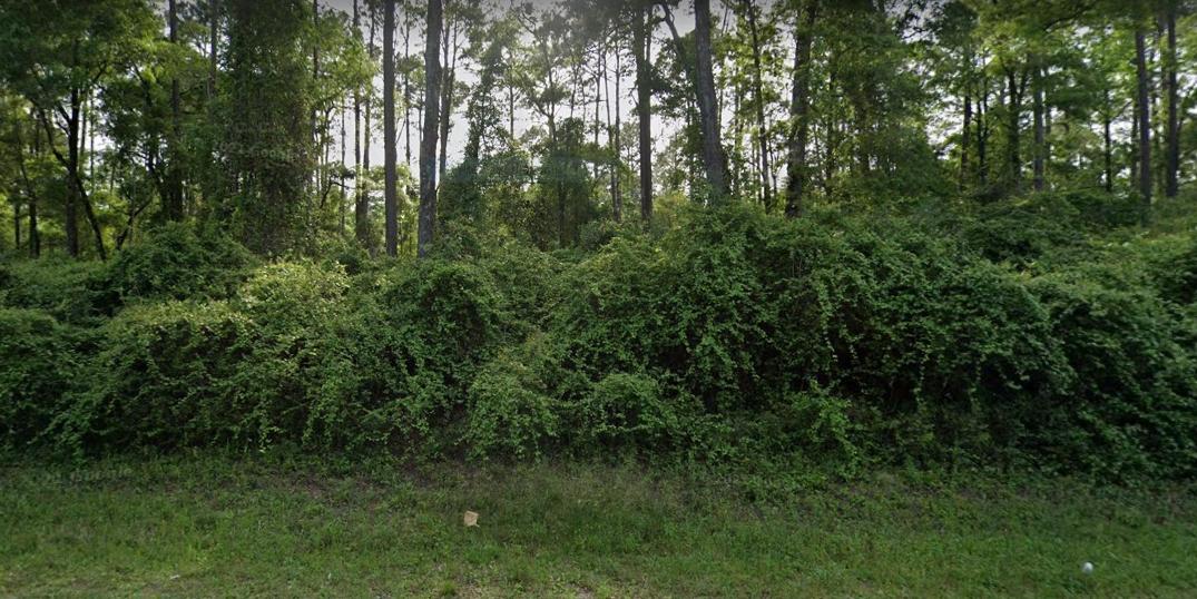 0.11 Acres for Sale in Crawfordville, Florida