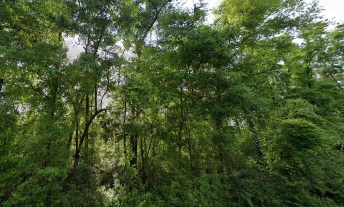 0.11 Acres for Sale in Crawfordville, Florida