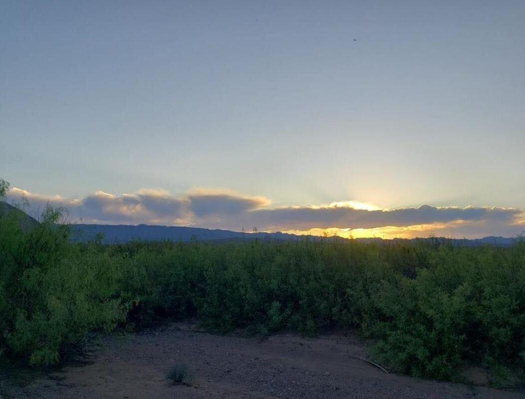 20 Acres for Sale in Adobes, Texas