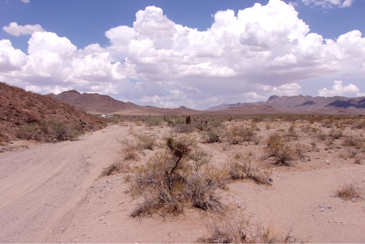 1.07 Acres for Sale in Dolan Springs, Arizona