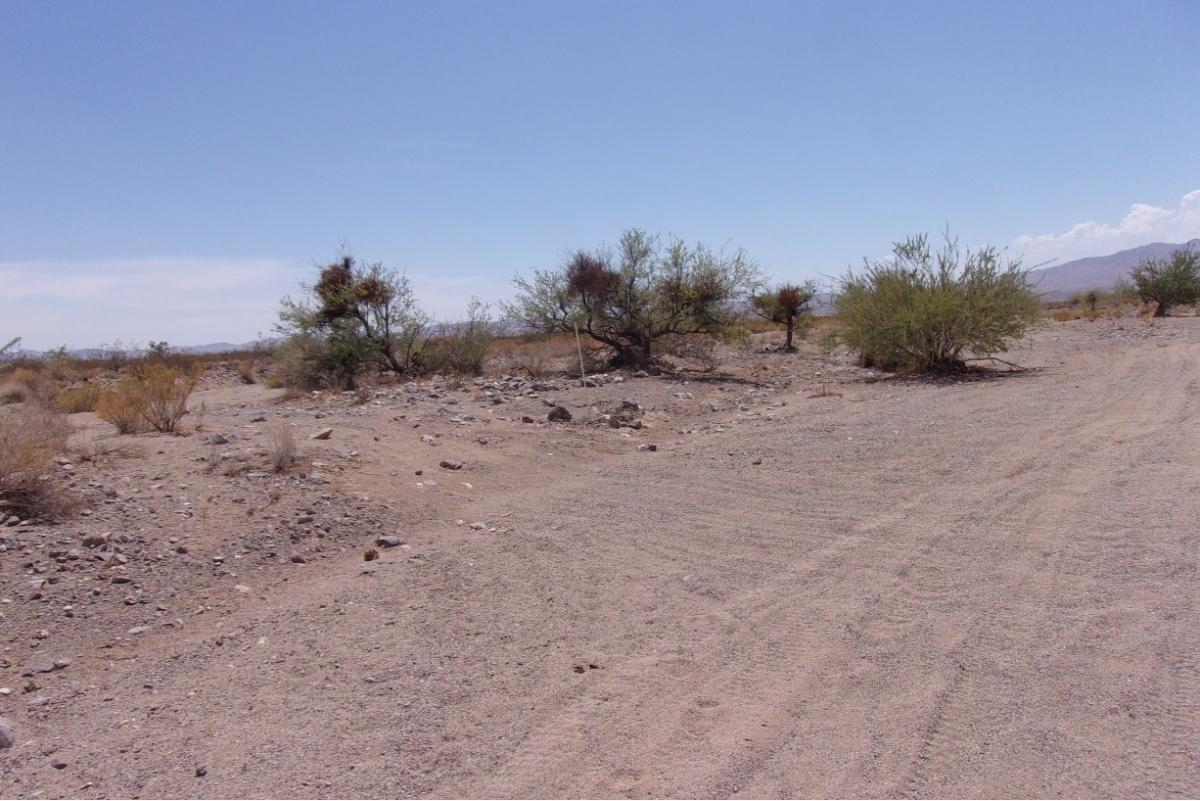 1.07 Acres for Sale in Dolan Springs, Arizona
