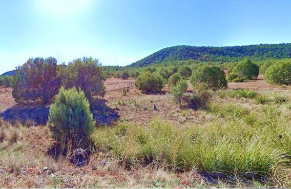 10 Acres for Sale in Joseph City, Arizona