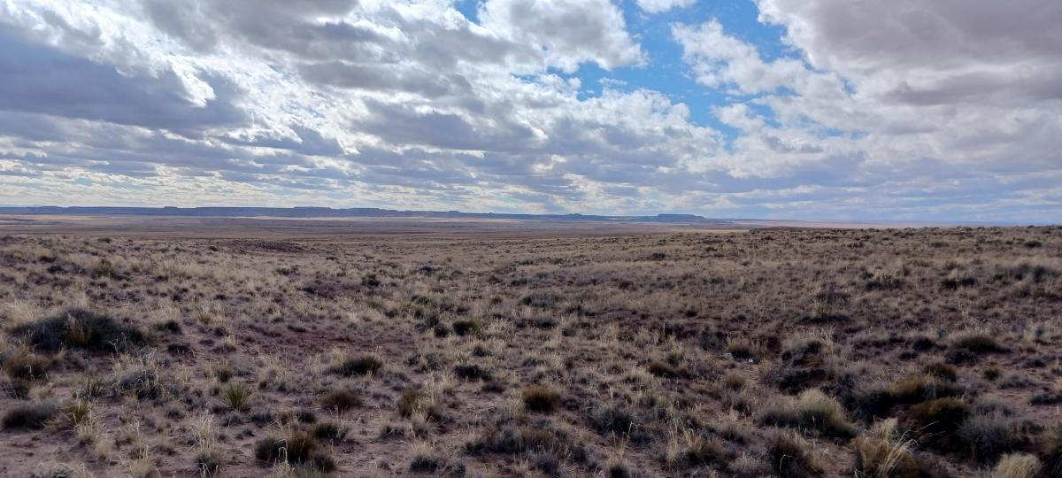 1.16 Acres for Sale in Adamana, Arizona