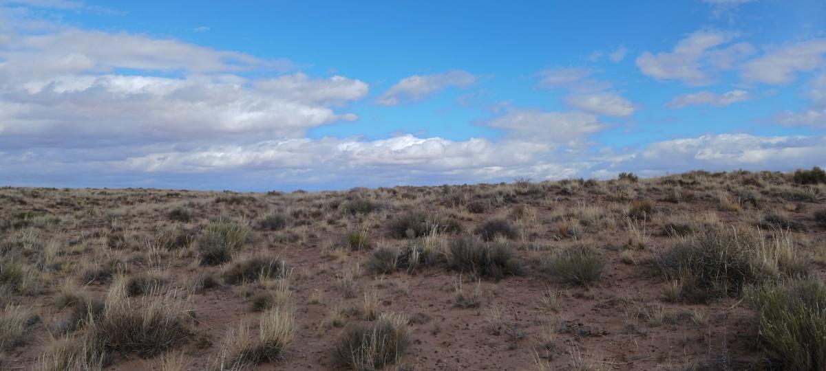 1.16 Acres for Sale in Adamana, Arizona