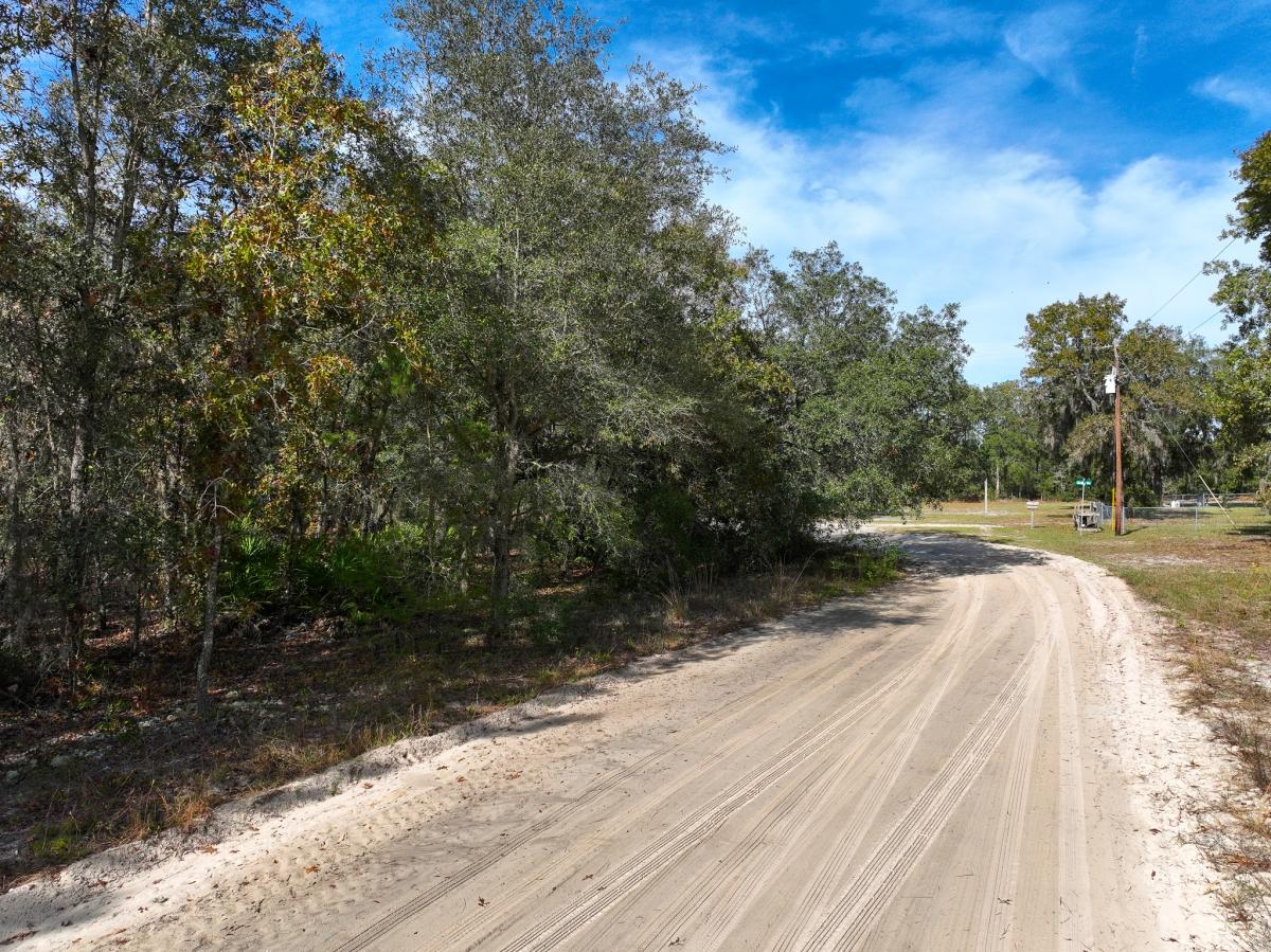 0.42 Acres for Sale in Florahome, Florida