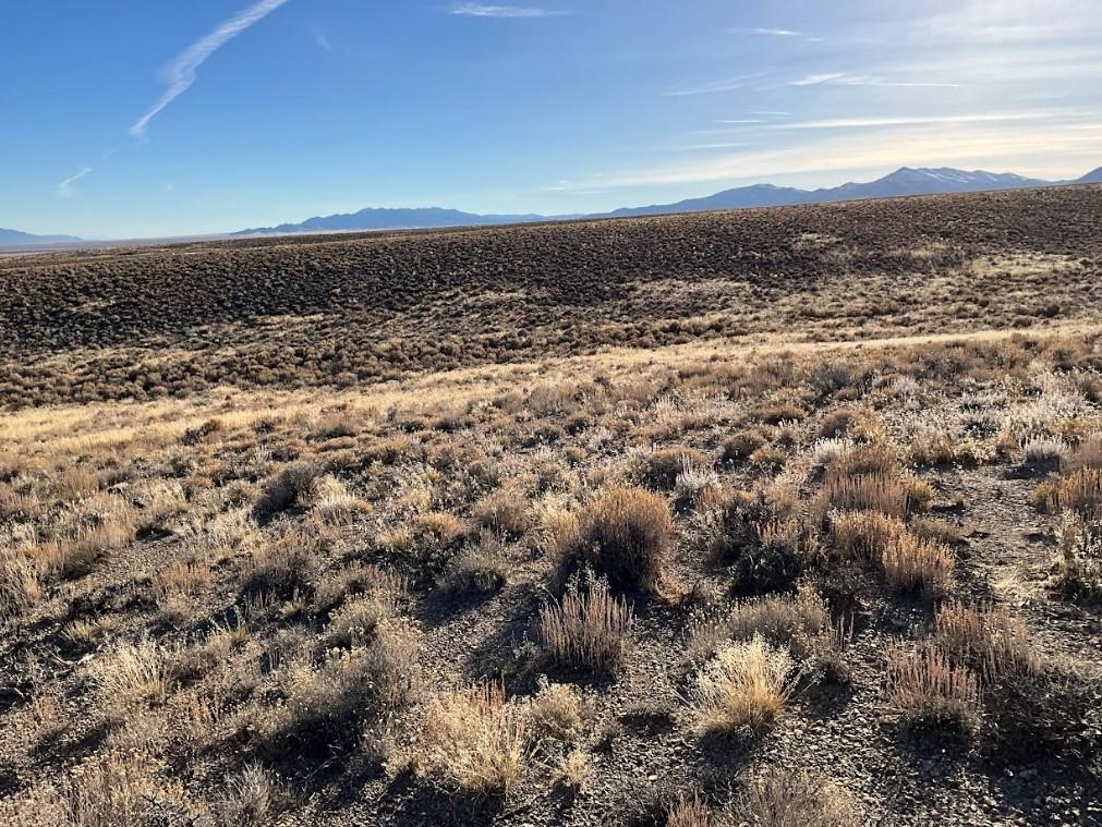 10.00 Acres for Sale in Montello, Nevada