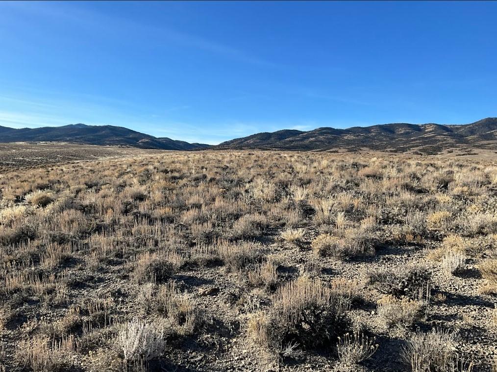10.00 Acres for Sale in Montello, Nevada