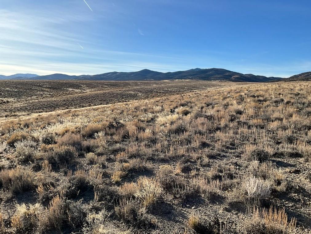 10.00 Acres for Sale in Montello, Nevada