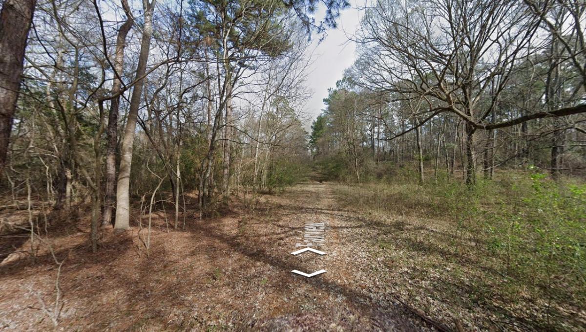 0.22 Acres for Sale in Bullard, Texas