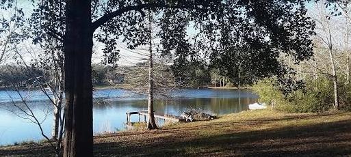 0.26 Acres for Sale in Avinger, Texas