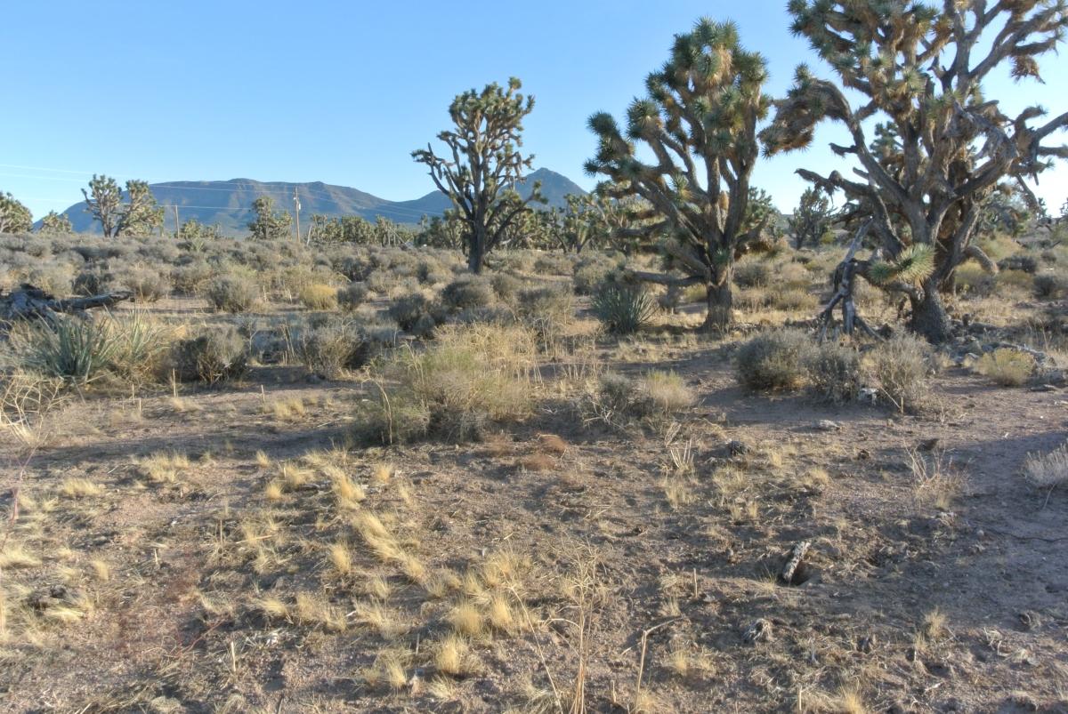 1.15 Acres for Sale in Meadview, Arizona