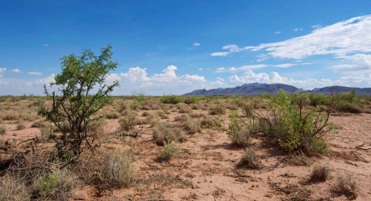 2 Acres for Sale in Sunshine, New Mexico