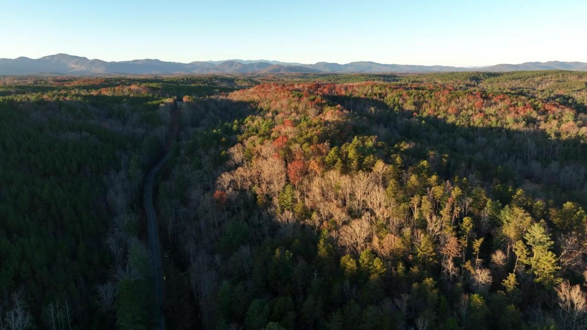 19.95 Acres for Sale in Mill Spring, North Carolina