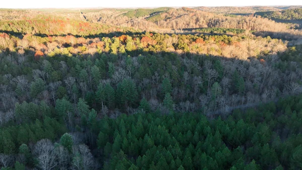 19.95 Acres for Sale in Mill Spring, North Carolina