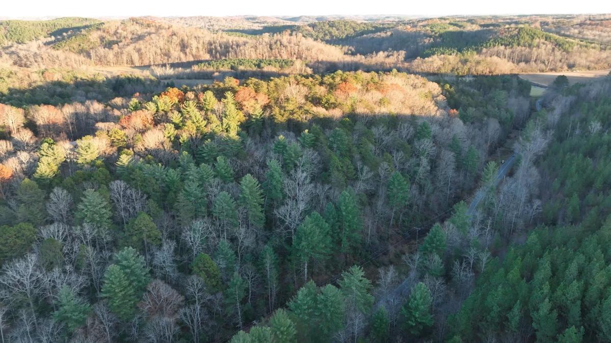 19.95 Acres for Sale in Mill Spring, North Carolina