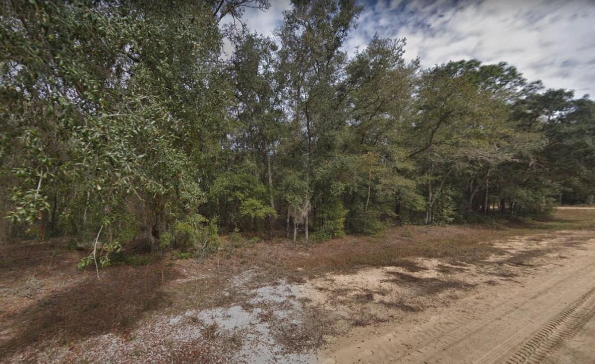 0.22 Acres for Sale in Interlachen, Florida