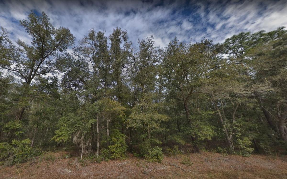 0.22 Acres for Sale in Interlachen, Florida