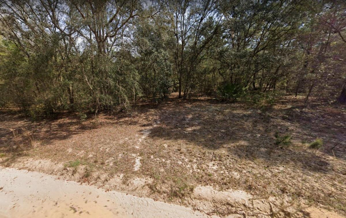 0.22 Acres for Sale in Interlachen, Florida