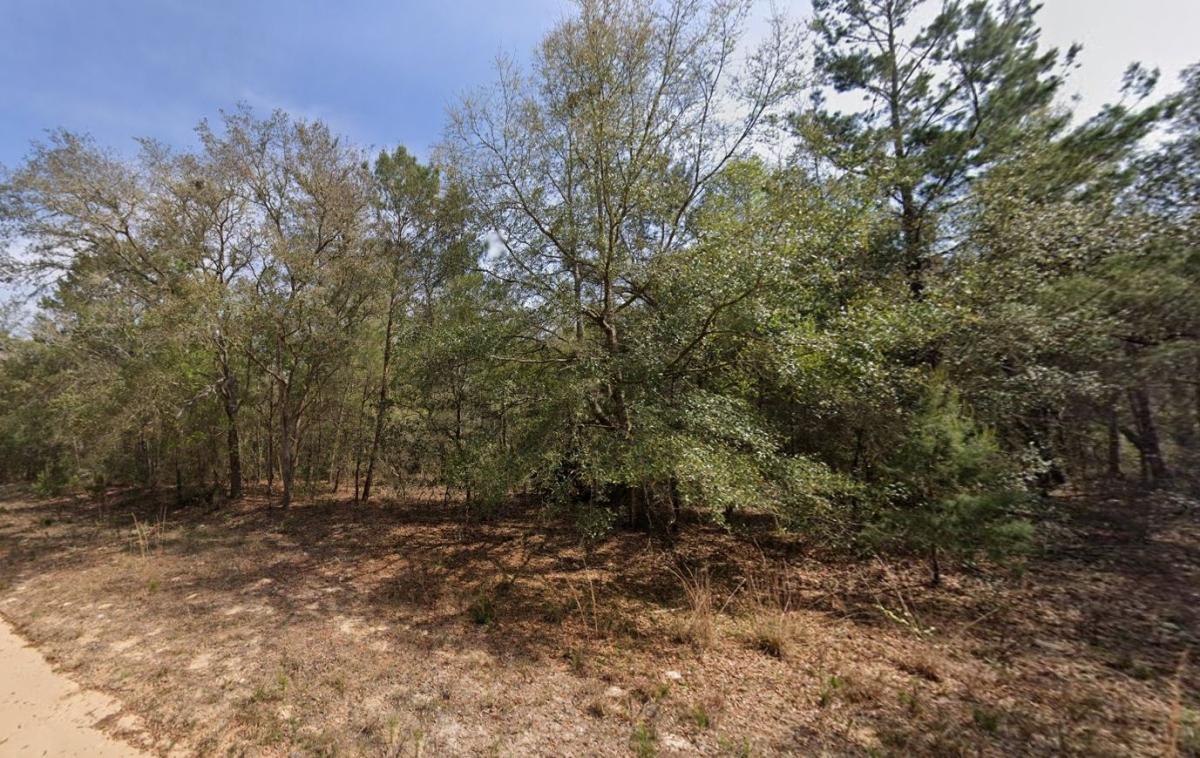 0.22 Acres for Sale in Interlachen, Florida