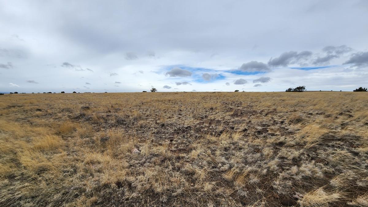 1.04 Acres for Sale in Adamana, Arizona