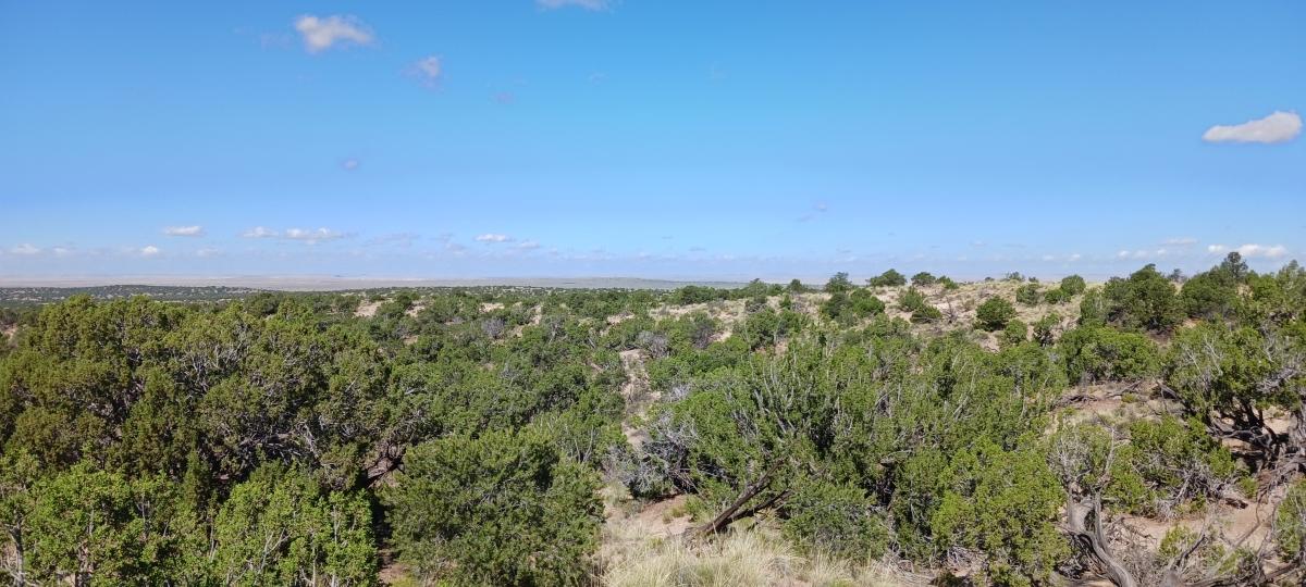 5 Acres for Sale in Saint Johns, Arizona