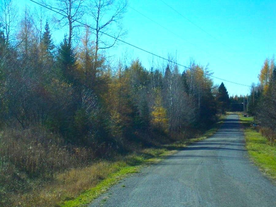 23 Acres for Sale in Woodland, Maine