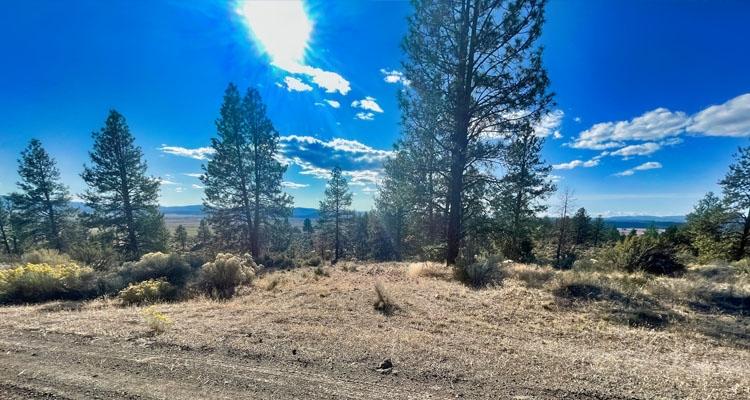 1.5 Acres for Sale in BEATTY, Oregon