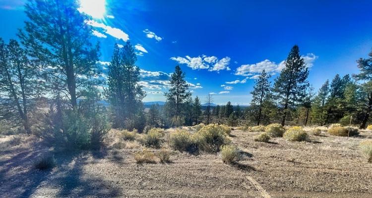 1.5 Acres for Sale in BEATTY, Oregon