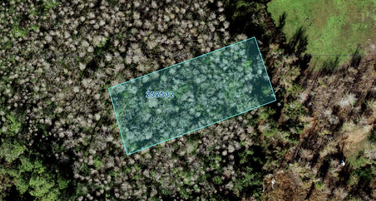 0.72 Acres for Sale in Polk City, Florida