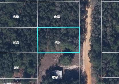 0.22 Acres for Sale in Interlachen, Florida