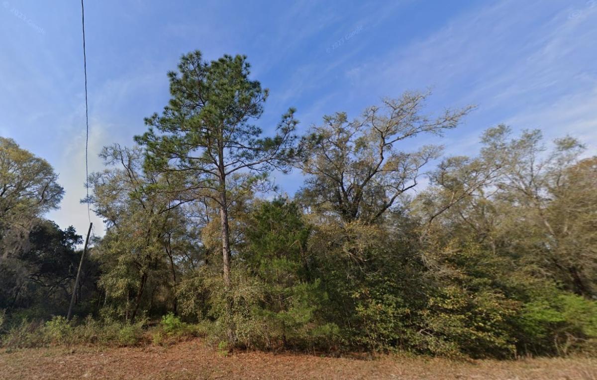 0.40 Acres for Sale in Interlachen, Florida