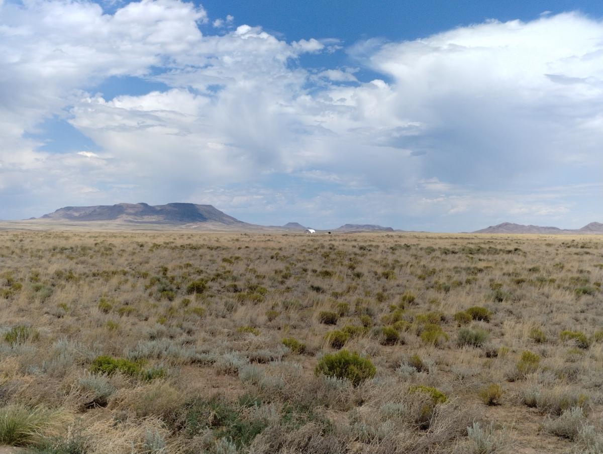 15 Acres for Sale in Mesita, Colorado