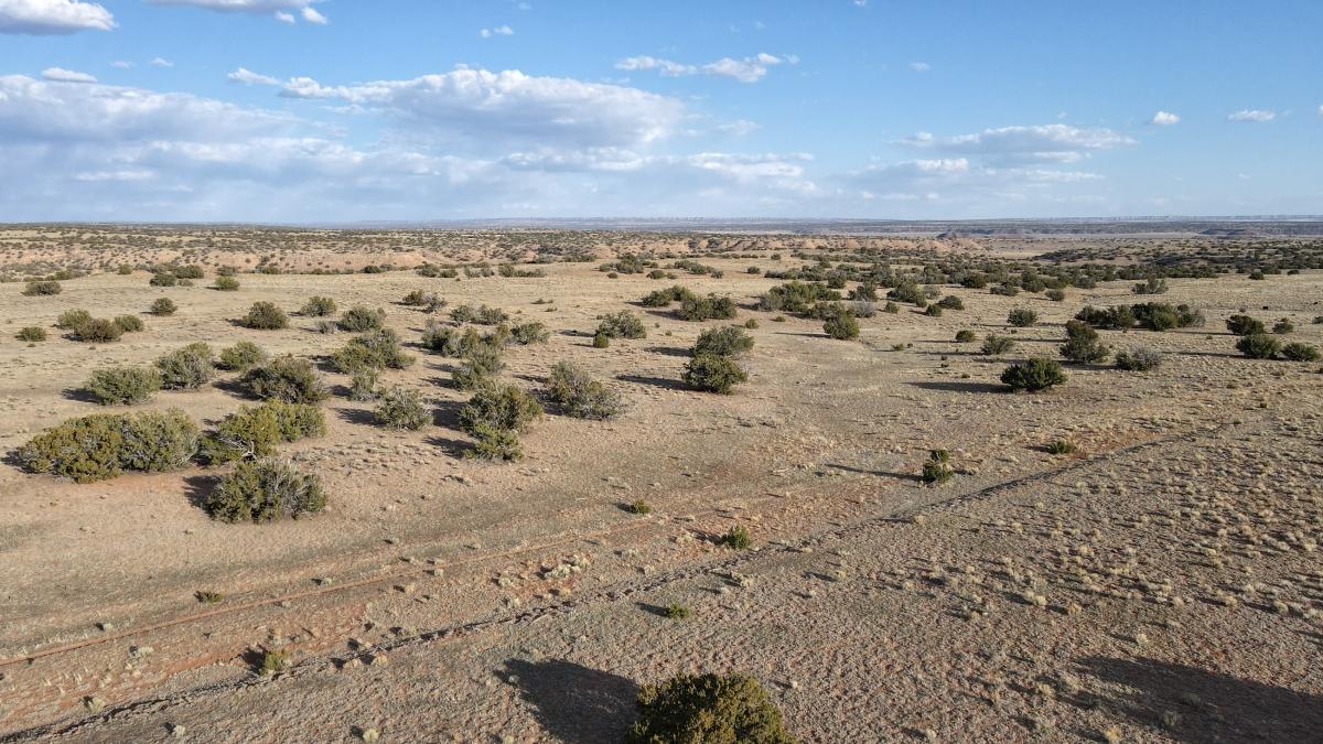 5.5 Acres for Sale in Chambers, Arizona