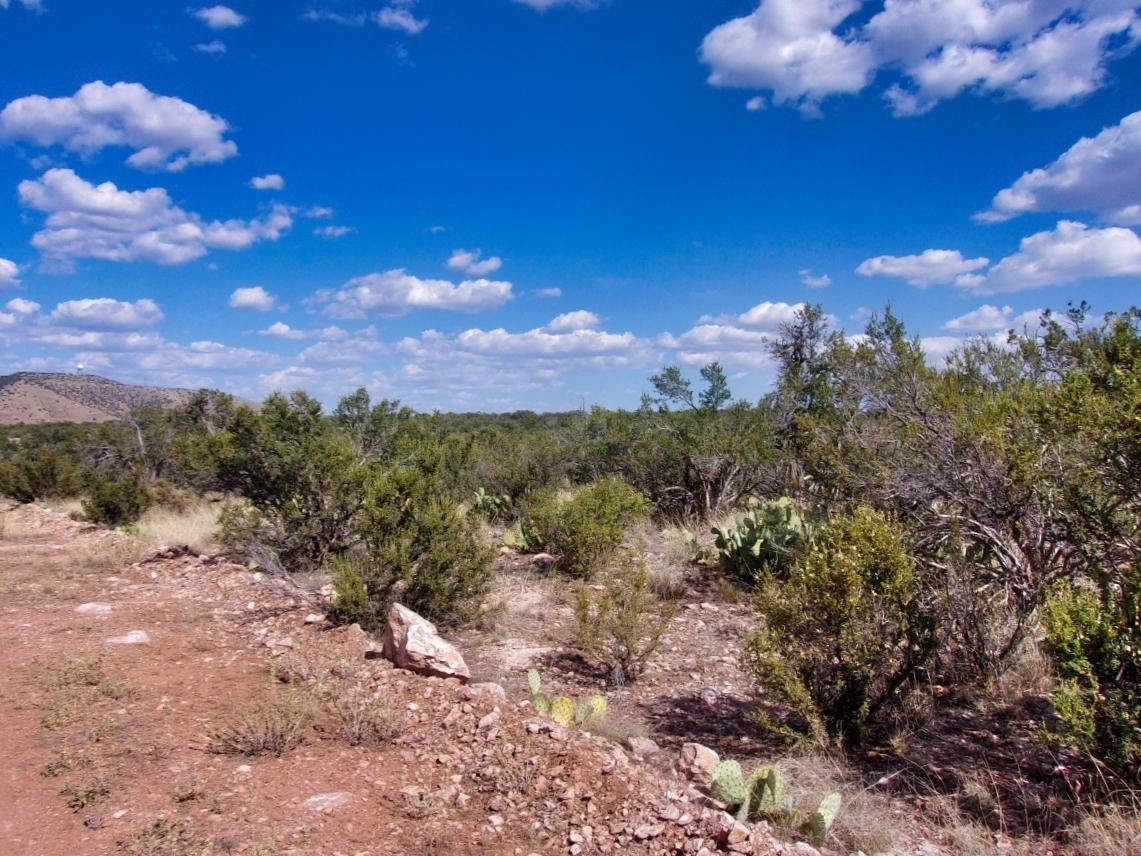 2.42 Acres for Sale in Seligman, Arizona