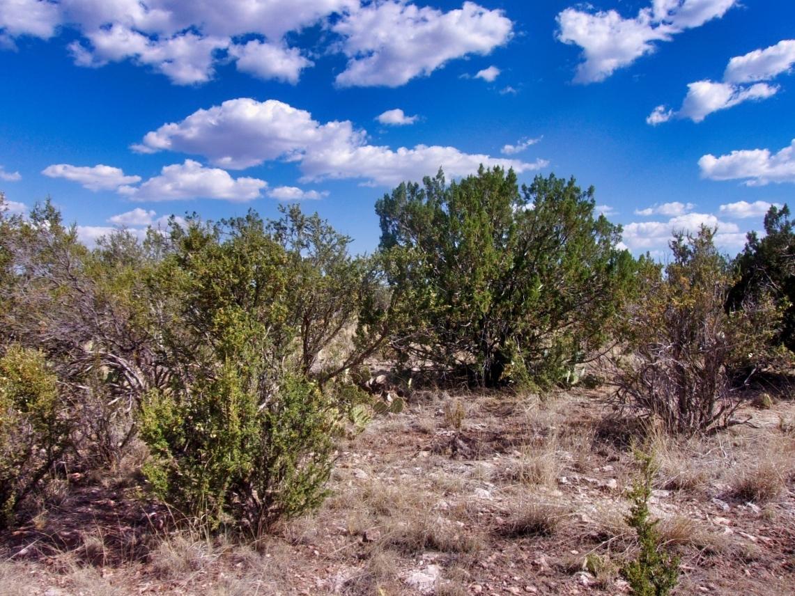 2.42 Acres for Sale in Seligman, Arizona