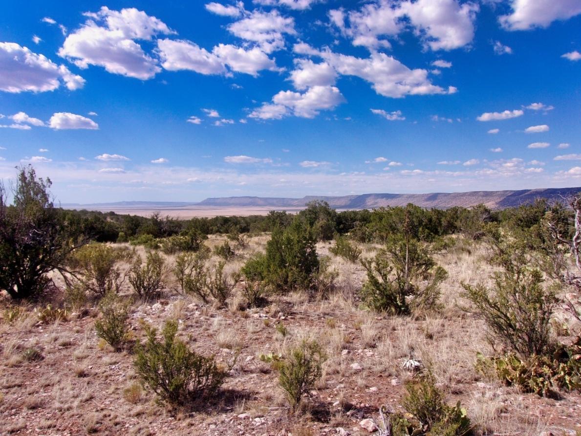 2.42 Acres for Sale in Seligman, Arizona