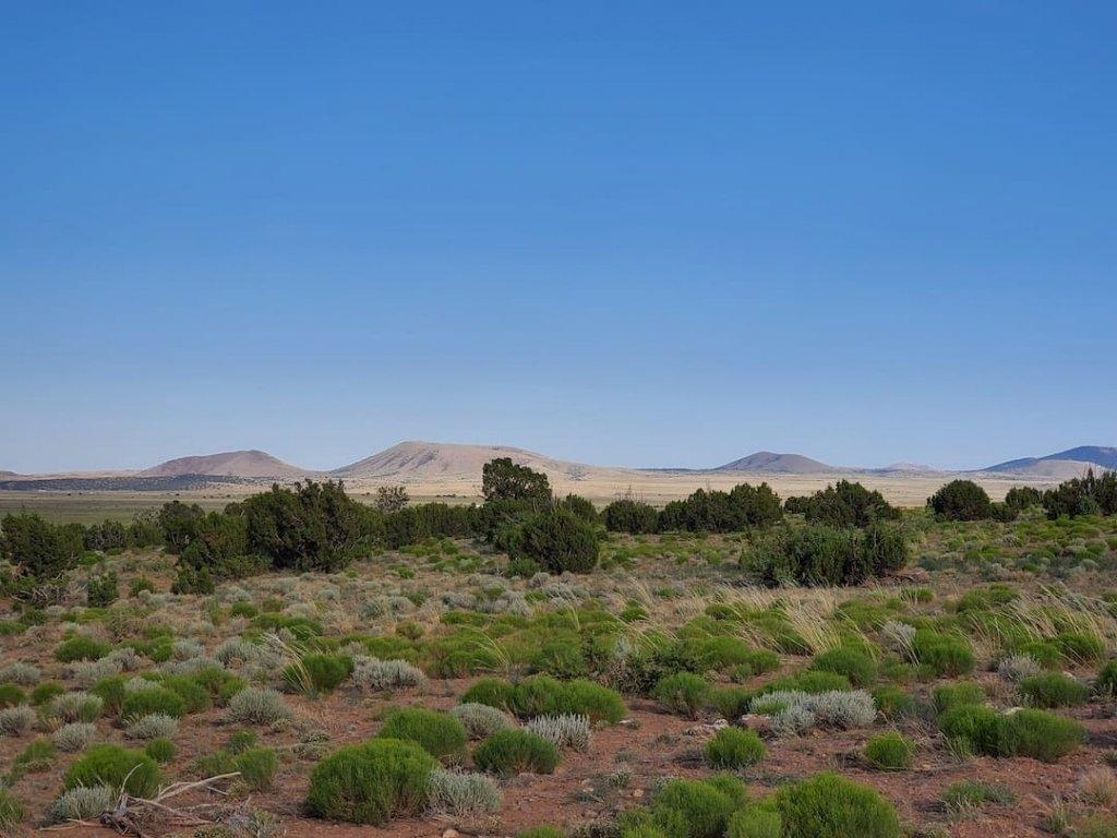 2.5 Acres for Sale in Saint Johns, Arizona