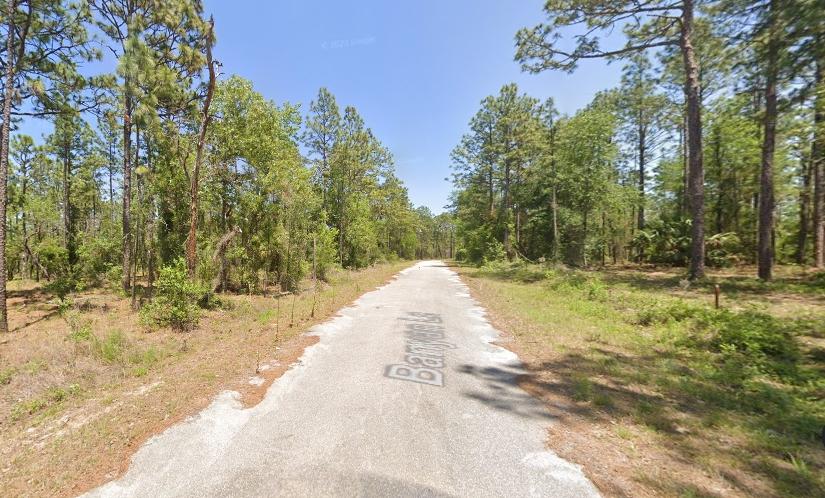 0.24 Acres for Sale in Dunnellon, Florida