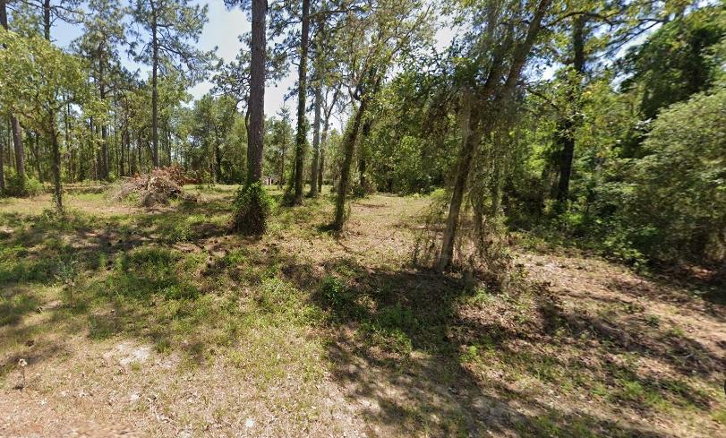 0.24 Acres for Sale in Dunnellon, Florida