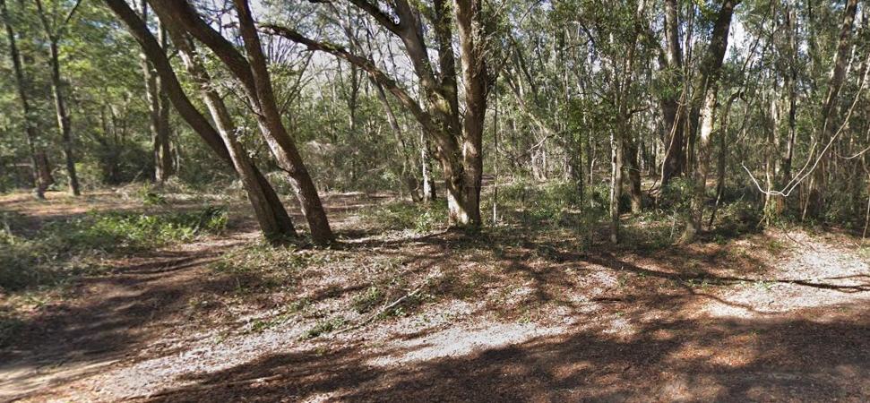 0.22 Acres for Sale in Interlachen, Florida