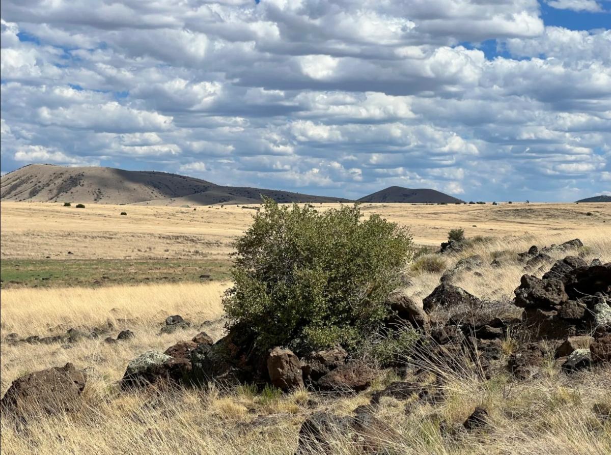 4.76 Acres for Sale in Concho, Arizona