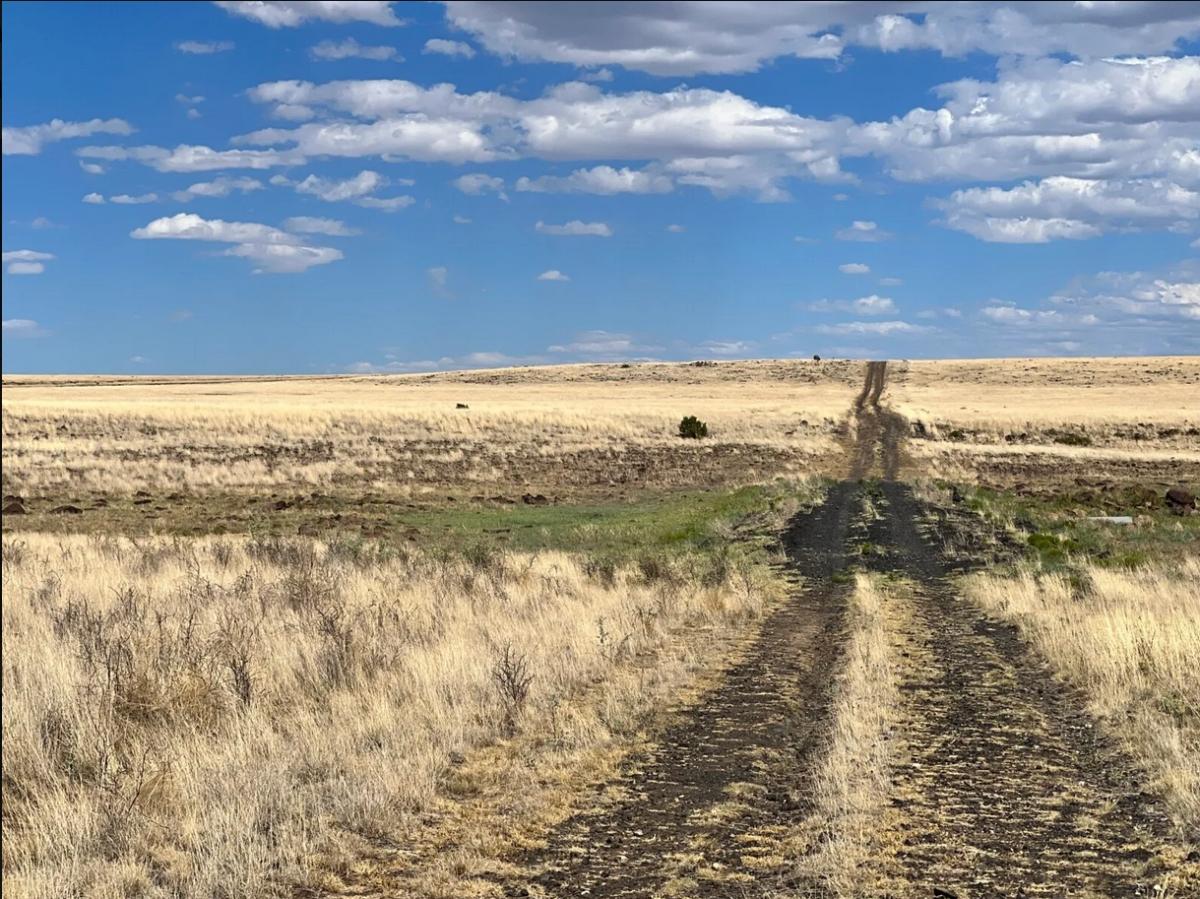 4.76 Acres for Sale in Concho, Arizona