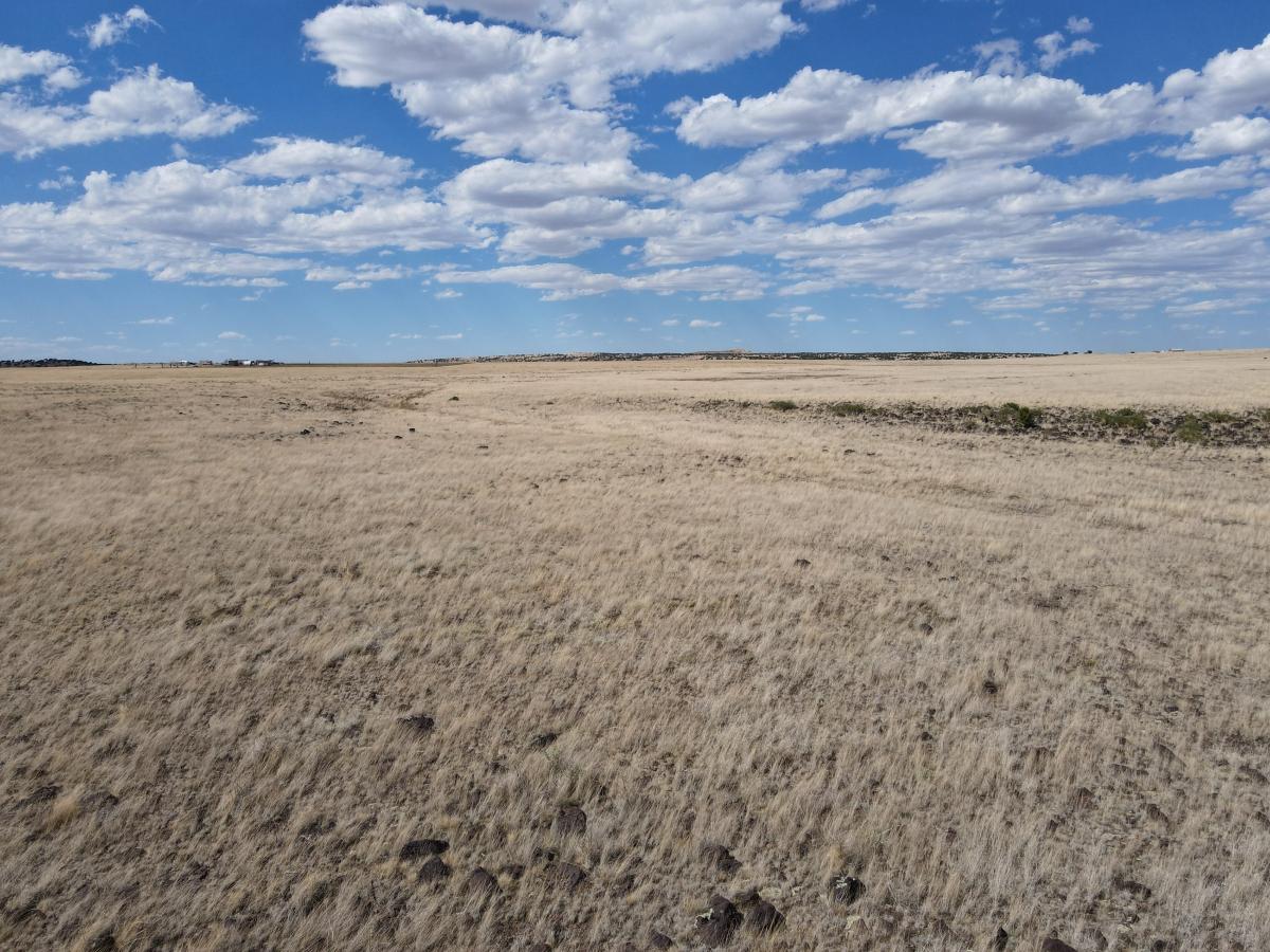 4.76 Acres for Sale in Concho, Arizona