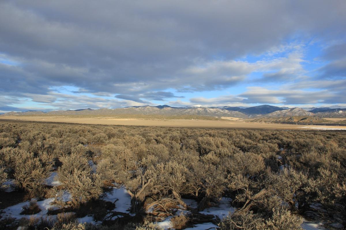 4.96 Acres for Sale in San Luis, Colorado