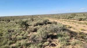 10 Acres for Sale in Santa Rosa, New Mexico