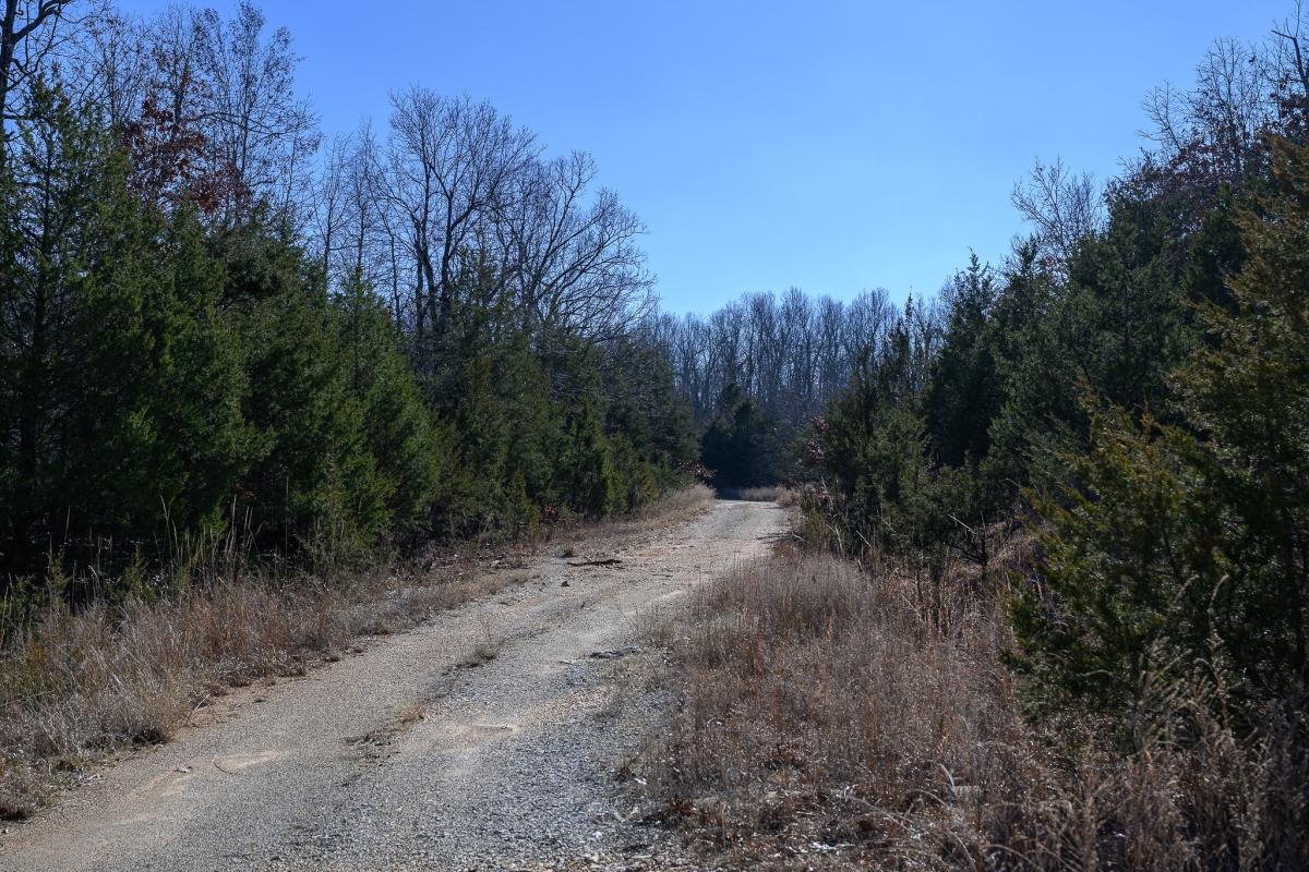 0.46 Acres for Sale in Horseshoe Bend, Arkansas