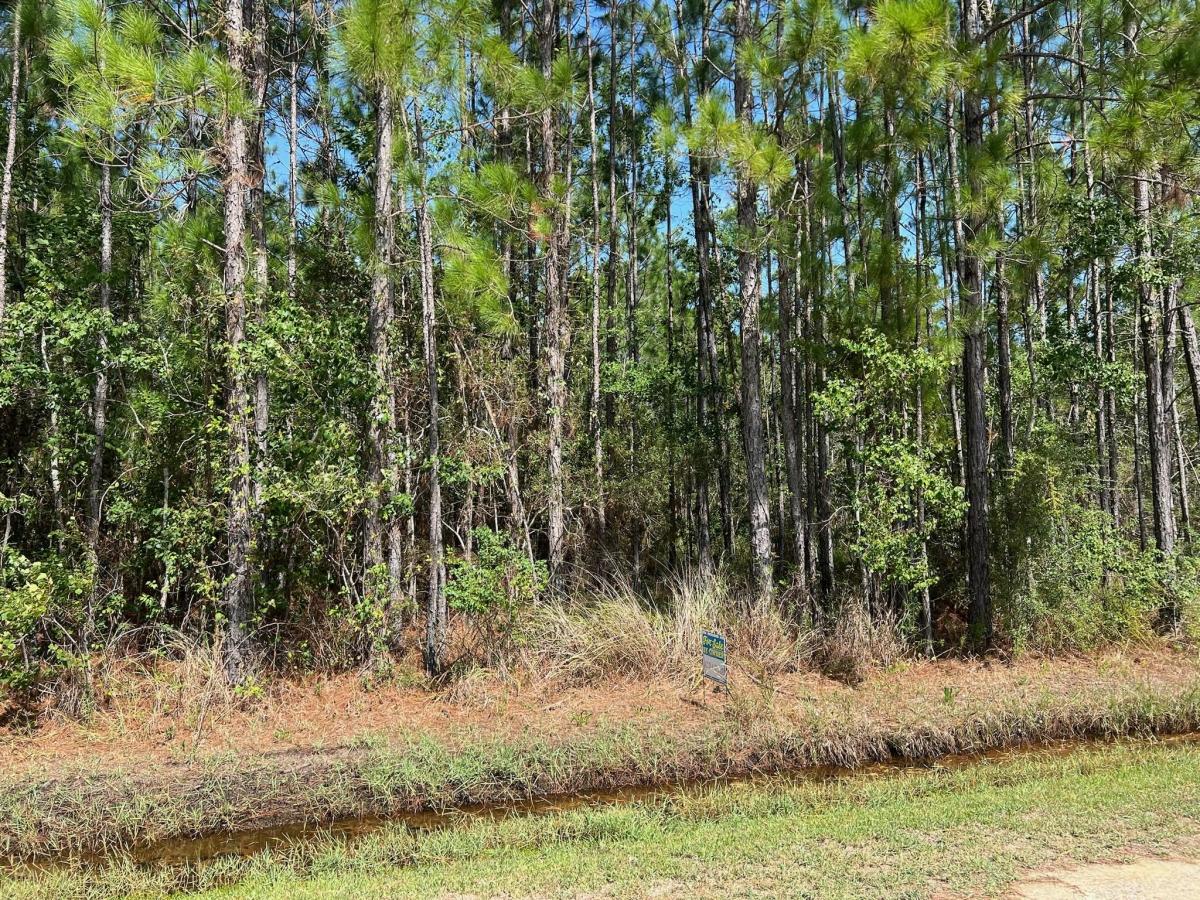 0.66 Acres for Sale in Bay St Louis, Mississippi