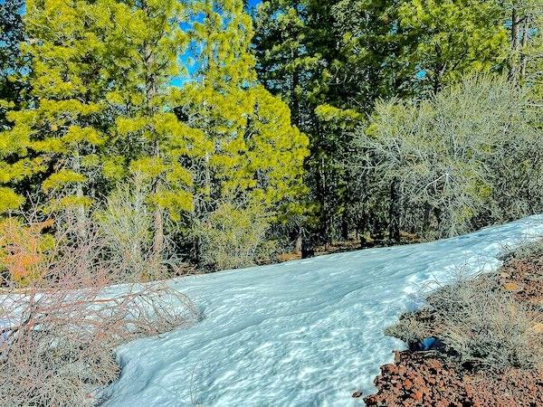 1 Acres for Sale in California Pines, California