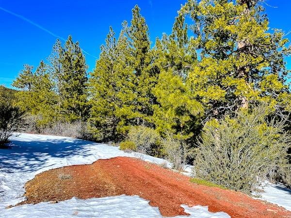 1 Acres for Sale in California Pines, California